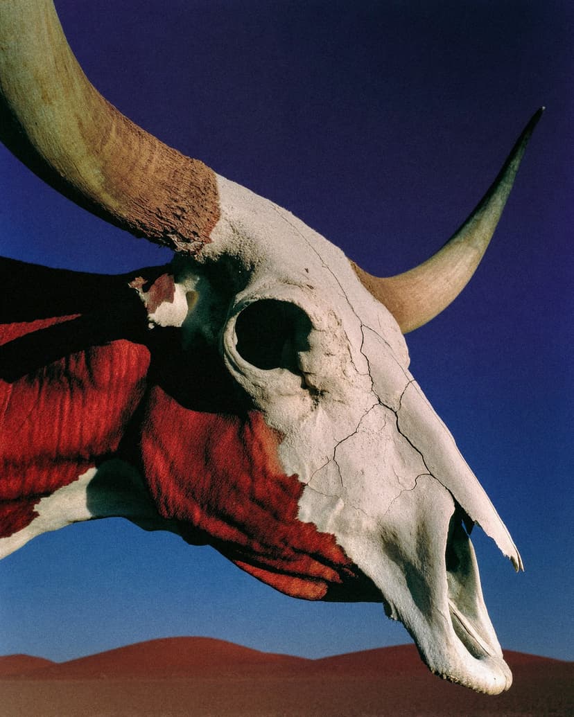 Querencia — Juan Carlos Beltrán