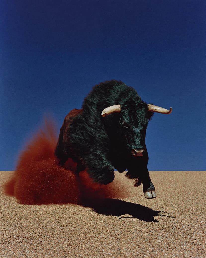 Sangre — Juan Carlos Beltrán