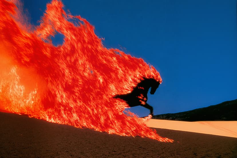 Estampida — Juan Carlos Beltrán