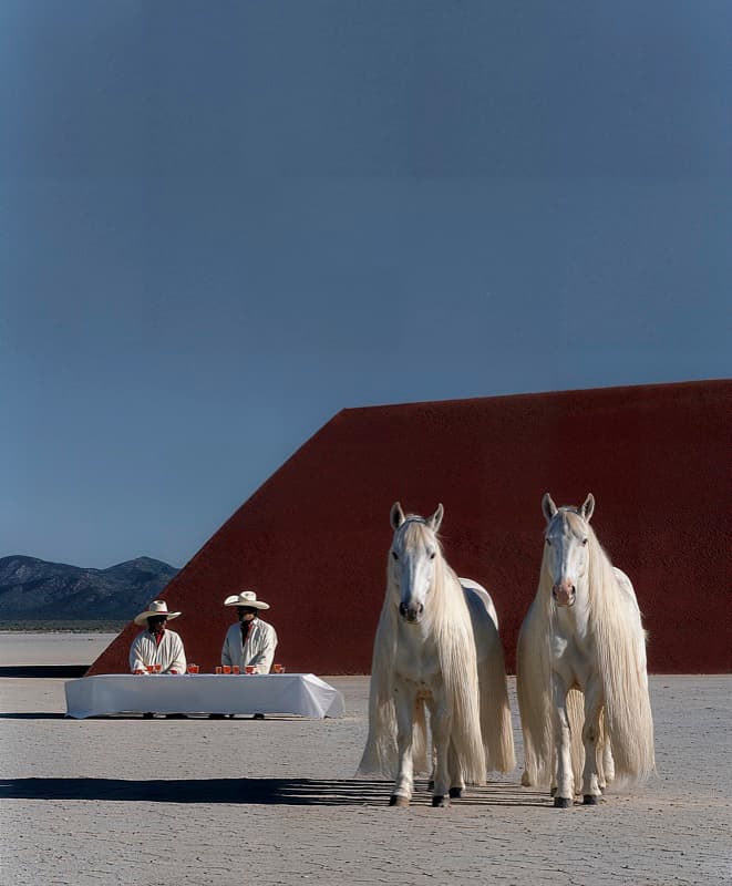 White Horses — Juan Carlos Beltrán