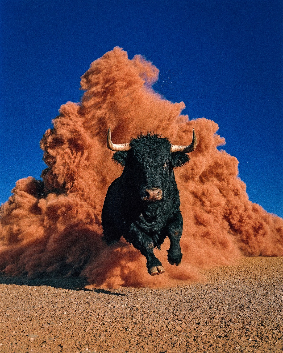 Miura — Juan Carlos Beltrán