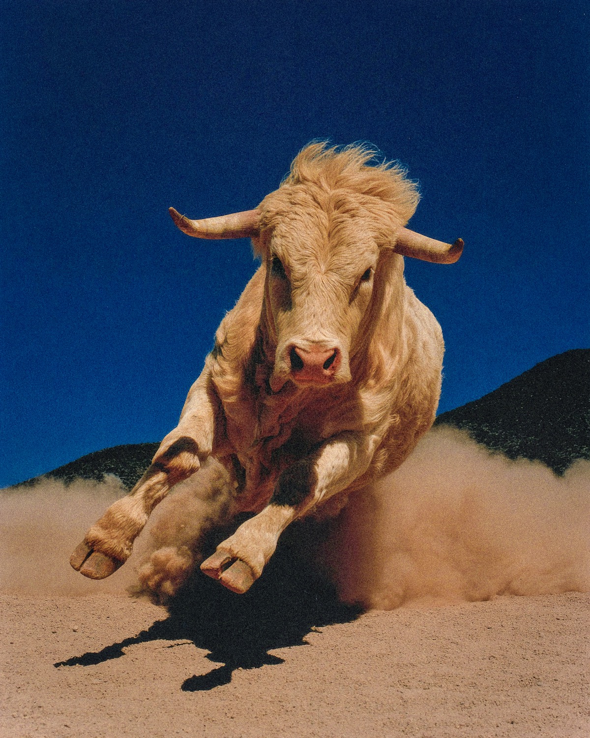 Vuelo — Juan Carlos Beltrán