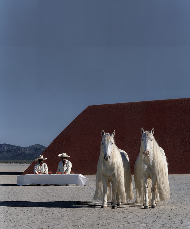 White Horses — Juan Carlos Beltrán